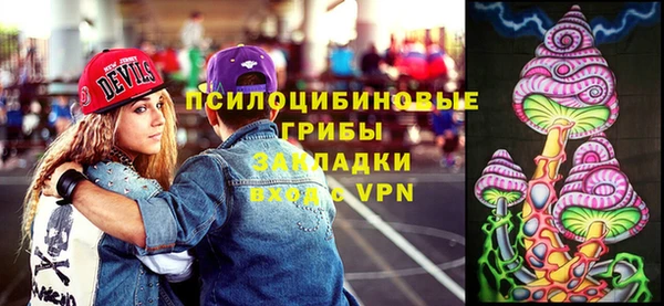 мяу мяу мука Алексеевка