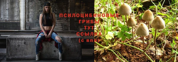 spice Алзамай