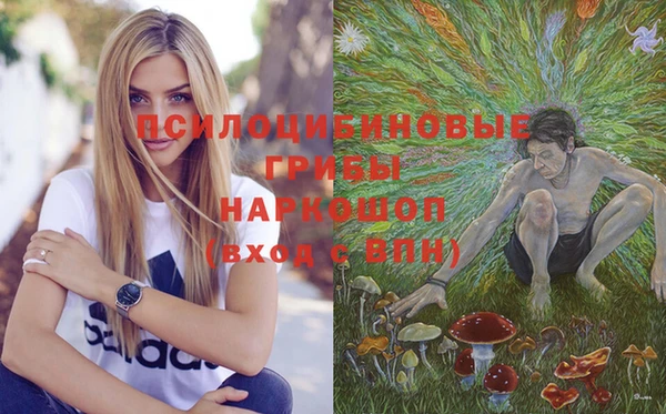 мяу мяу мука Алексеевка