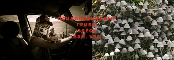 мяу мяу мука Алексеевка
