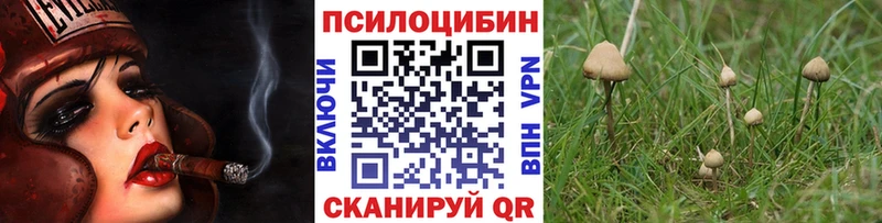 Купить  Сургут  Псилоцибиновые грибы мухоморы 