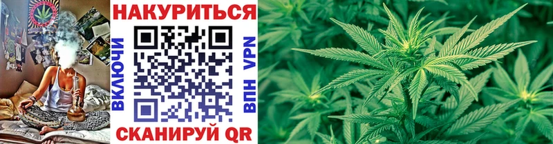 Купить закладки  Сургут  Марихуана THC 21% 